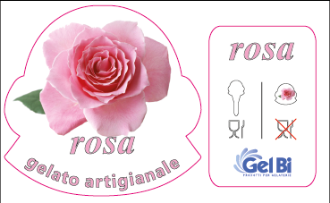 rosa
